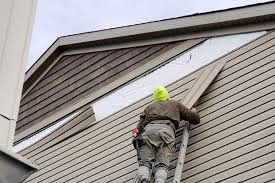 Best Siding Painting and Refinishing  in Fyffe, AL